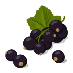 Grosella negra