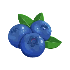 Arándano