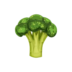 Brócoli