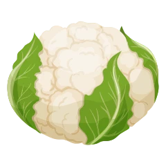Coliflor