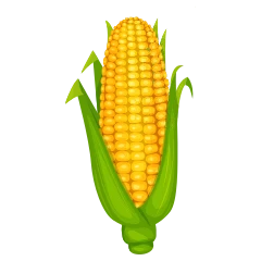 Maíz