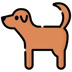 Perro