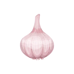Ajo