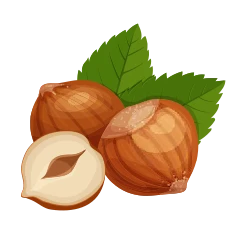 Avellana