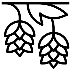 Lúpulo