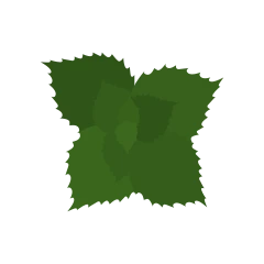 Menta