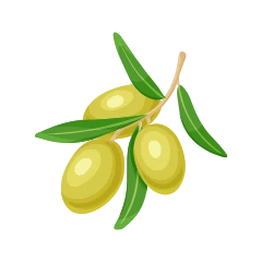 Aceituna