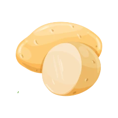 Patata