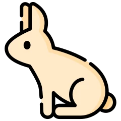 Conejo