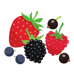 Frutos del bosque
