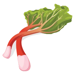 Ruibarbo