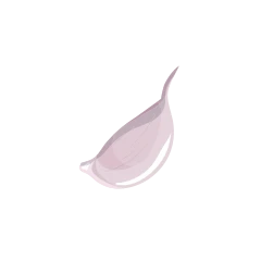 Chalota