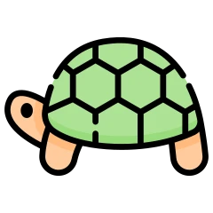 Tortuga